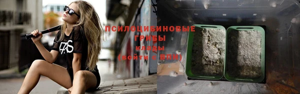 соль ск Зеленодольск
