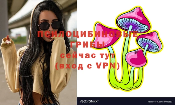 марки lsd Заводоуковск